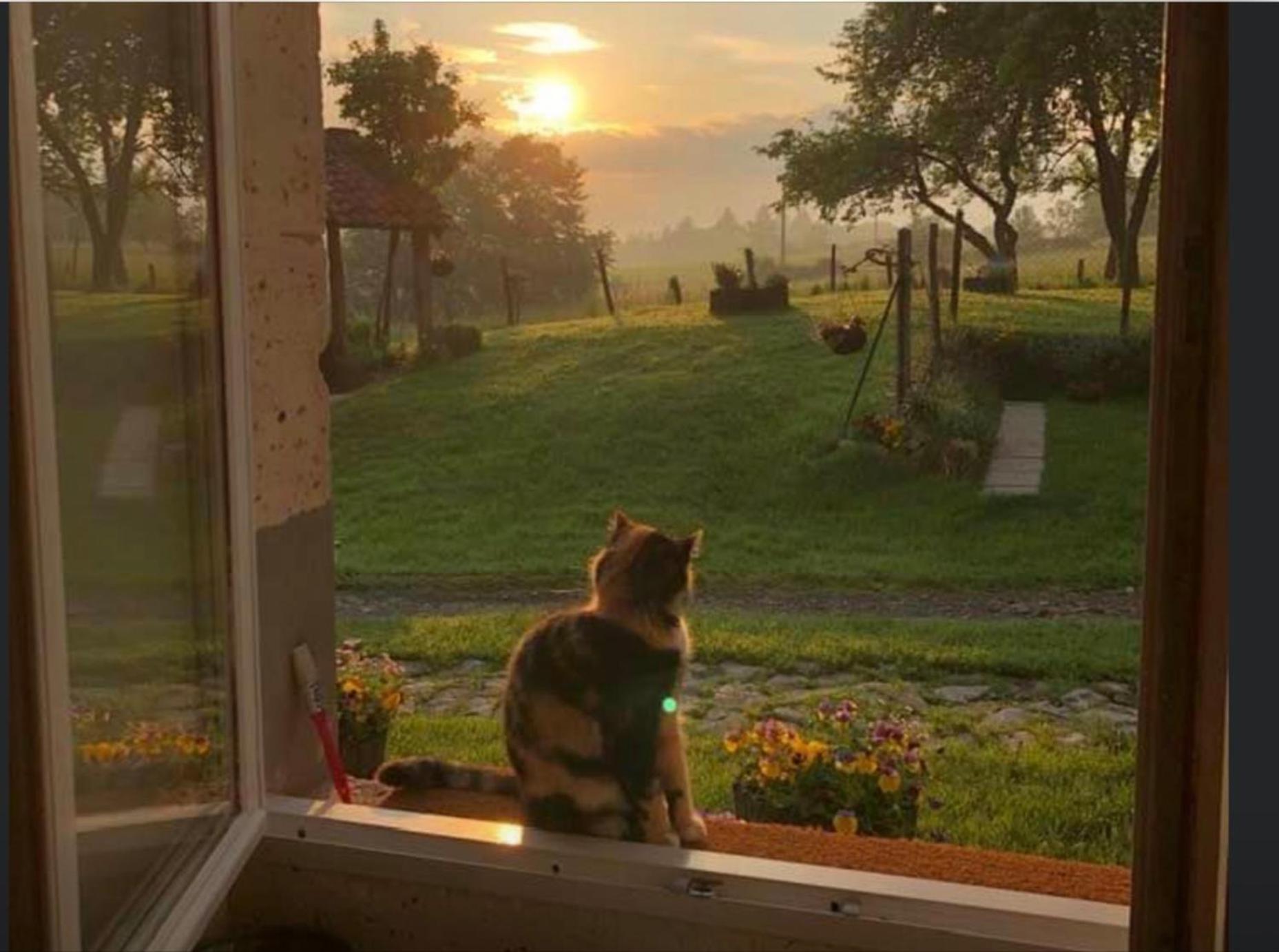 Le Petit Grange Bed & Breakfast Le Lindois Dış mekan fotoğraf